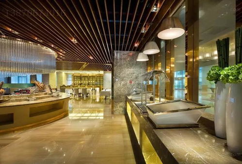 南昌施工圖佰宸深化設(shè)計公司 頂尖水準(zhǔn)的專業(yè)外包服務(wù)